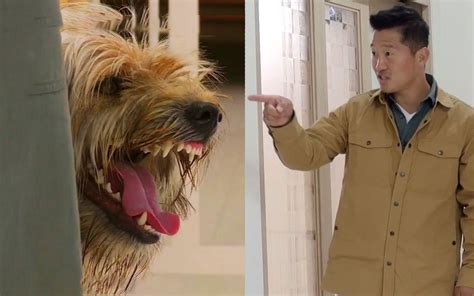 驅鬼犬|驱鬼犬